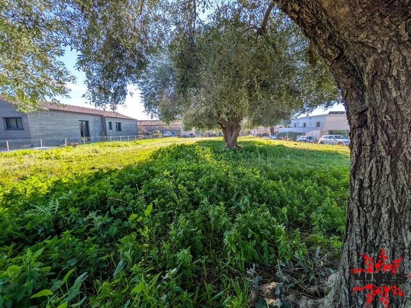 Terrain constructible - 561 m²