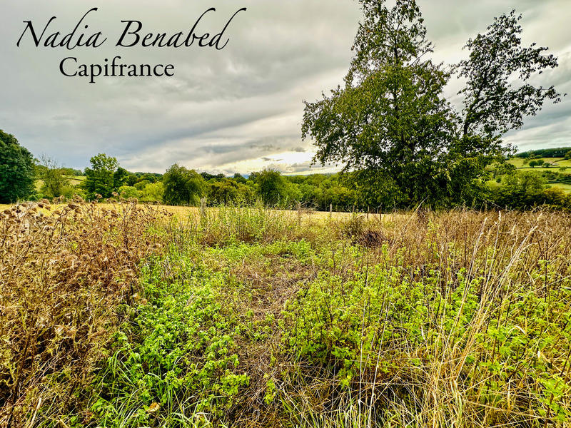 Terrain constructible - 4 630 m²