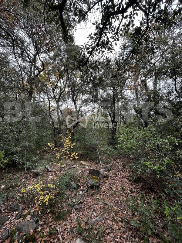 Terrain - 33 565 m²