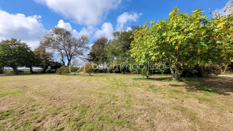 Maison - 115 m² - 4 pièces