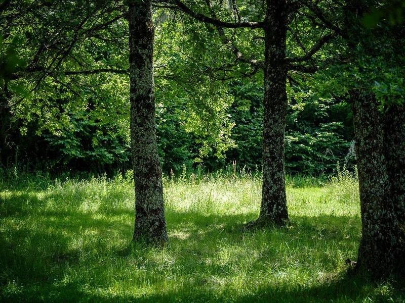 Propriété - 590 m² - 20 pièces