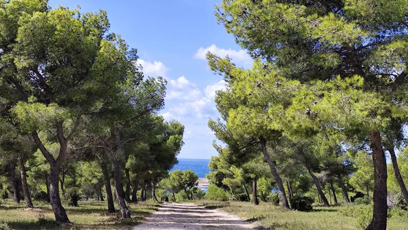 Histoire et paysages : exploration des vestiges militaires de Martigues