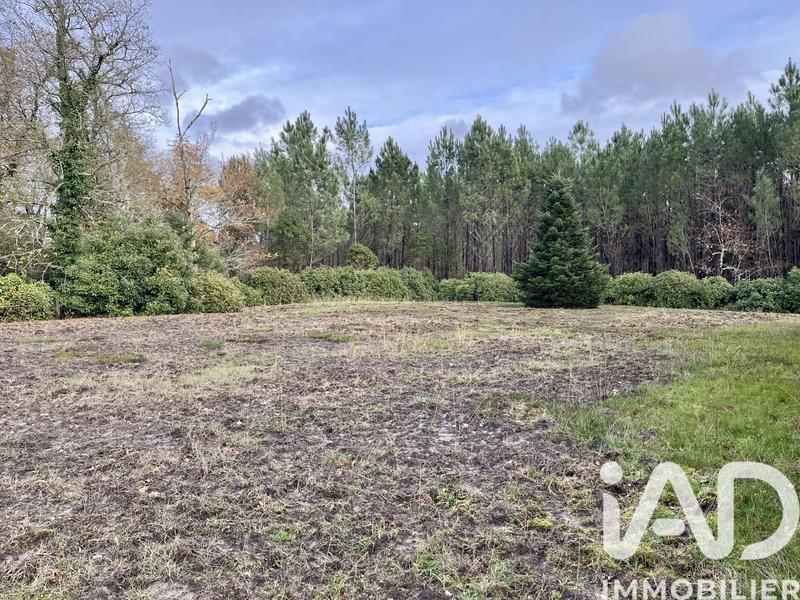 Maison - 138 m² - 5 pièces