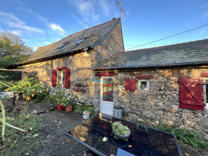 Maison ancienne - 128 m² - 6 pièces