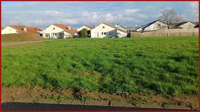 Terrain - 551 m²