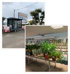 Les Jardins de Chateaugay