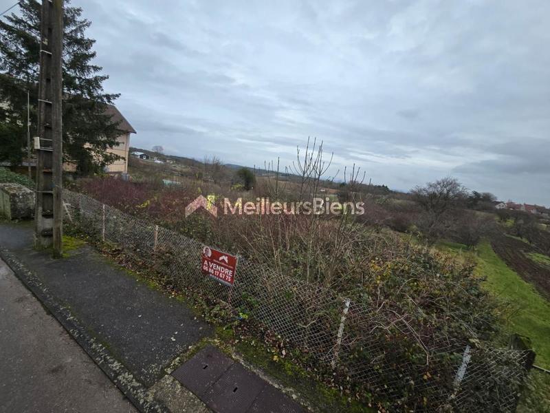 Terrain constructible - 3 590 m²