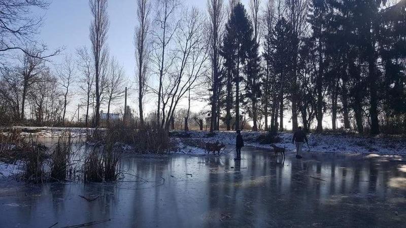 Maison - 350 m² - 12 pièces