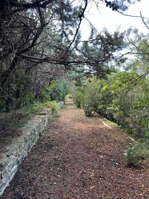 Maison ancienne - 188 m² - 6 pièces