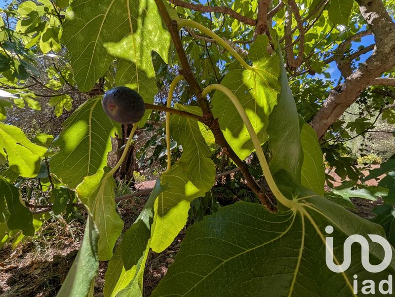 Maison - 133 m² - 5 pièces