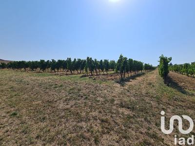 Terrain agricole - 20 497 m²