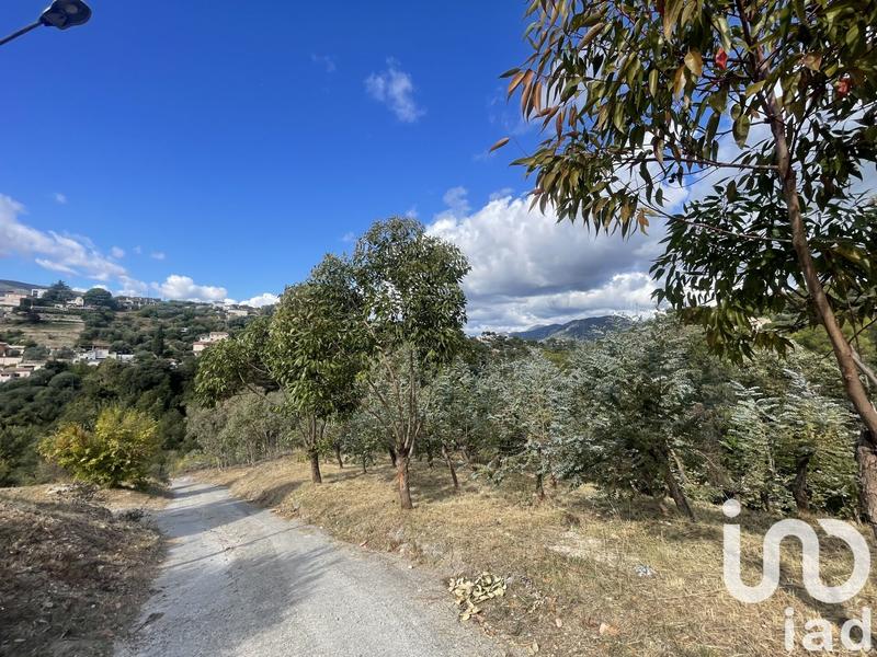 Terrain agricole - 10 100 m²