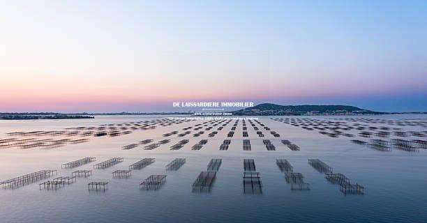 Viager - Mas - 170 m² - 5 pièces