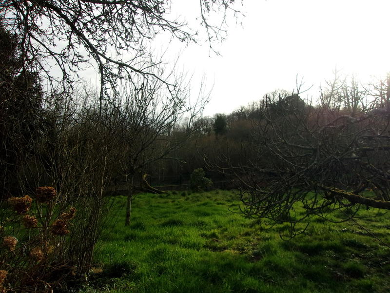 Maison - 96 m² - 5 pièces