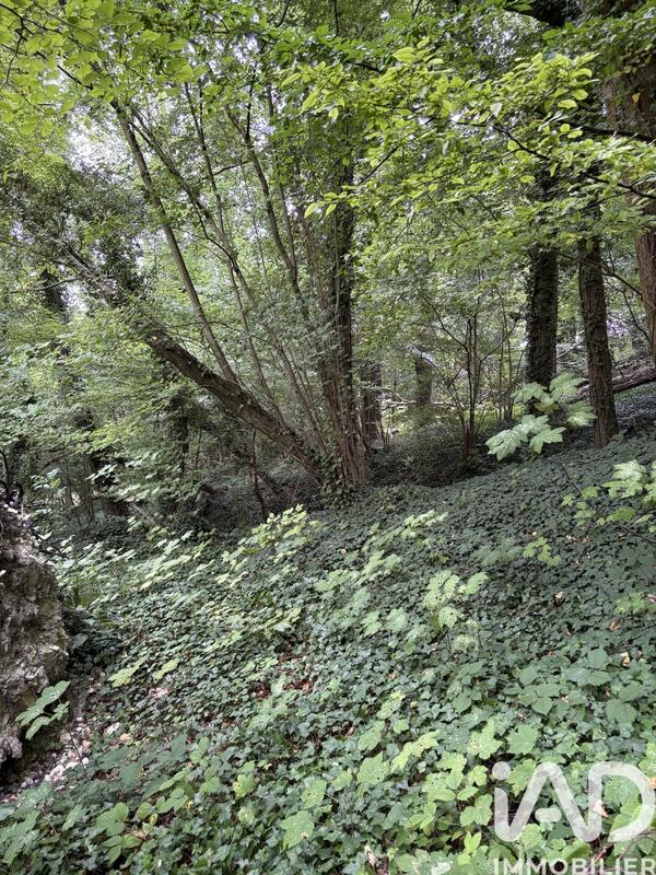 Terrain - 10 604 m²