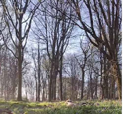 Bainc' Trail Baincthun