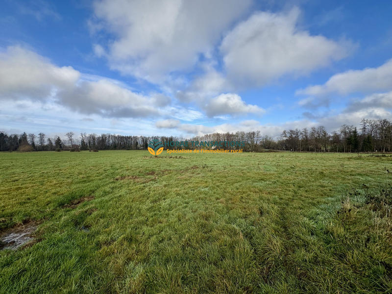 Ferme - 600 m² - 1 pièce