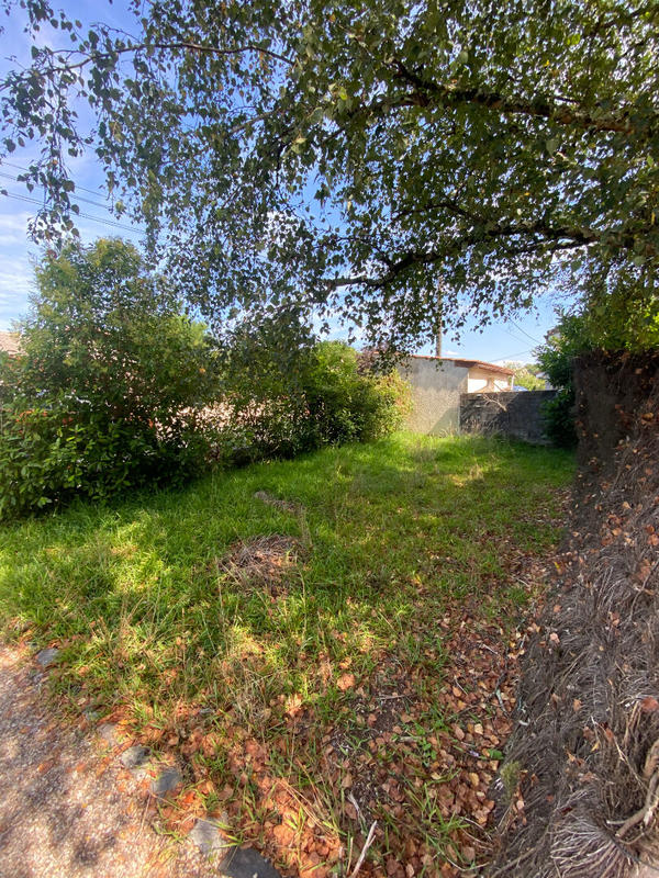 Terrain - 290 m²