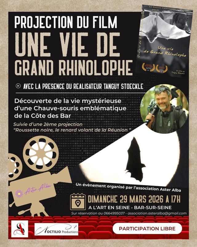 Exposition &amp; projection – à la découverte des chauves-souris à Bar-sur-Seine