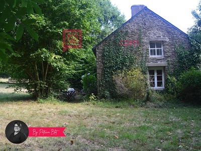 Maison - 250 m² - 4 pièces