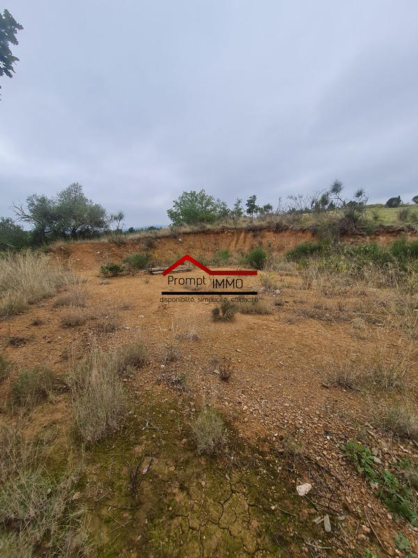 Terrain agricole - 23 648 m²