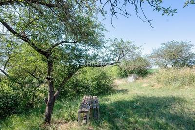 Terrain de loisirs - 2 550 m²