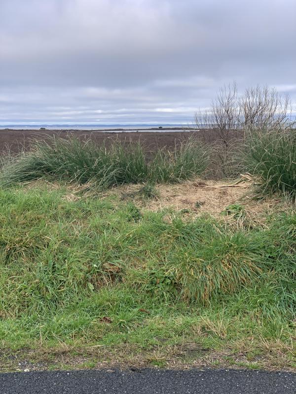 Terrain constructible - 738 m²