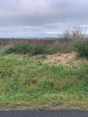 Terrain constructible - 738 m²