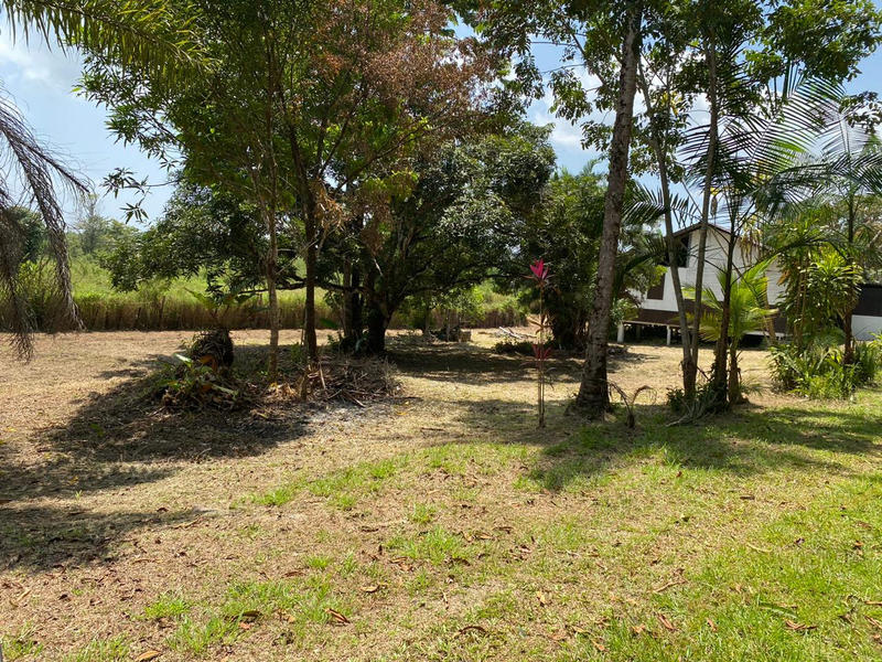 Terrain agricole - 62 539 m²