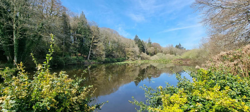 Maison - 300 m² - 10 pièces