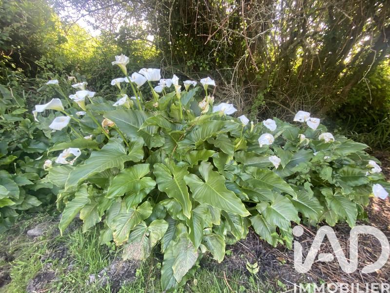 Maison de campagne - 184 m² - 10 pièces