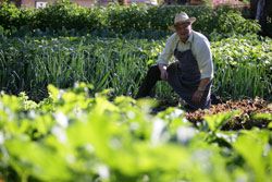 Hôtel Aiguille du Midi - les Bossons
