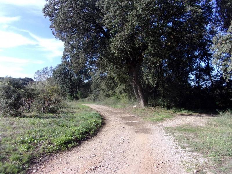 Terrain agricole - 6 270 m²