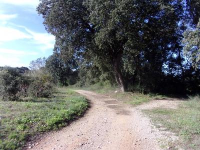 Terrain agricole - 6 270 m²