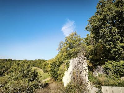 Terrain constructible - 7 424 m²