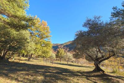 Maison - 75 m² - 2 pièces