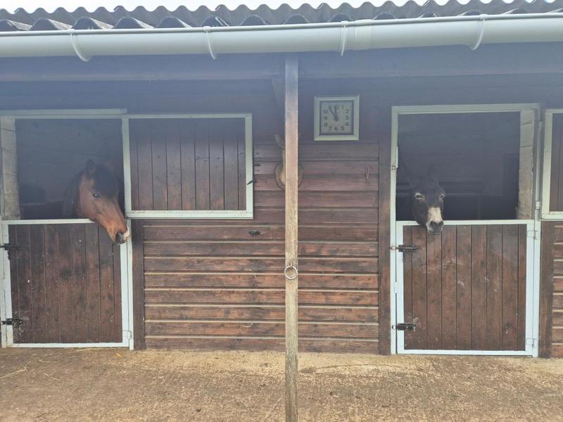 Maison - 199 m² - 5 pièces