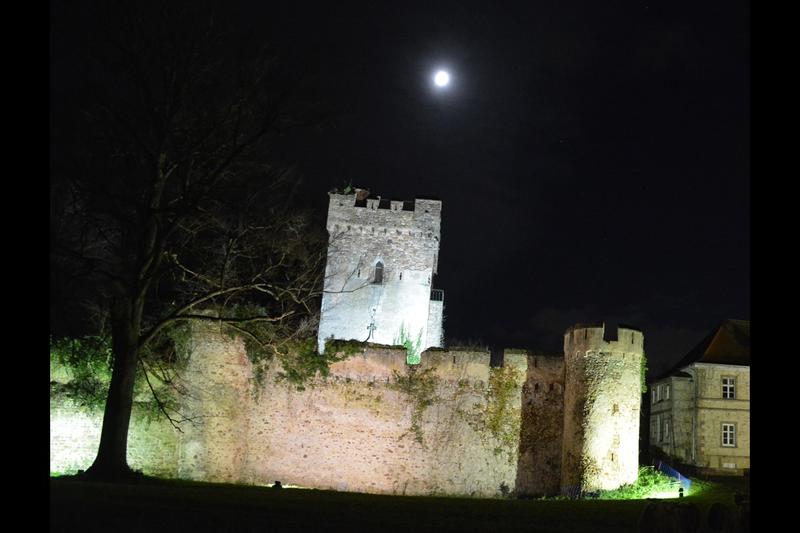 Marché de Noël au château de Niedernai