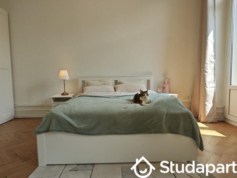 Chambre - 16 m² - 1 pièce