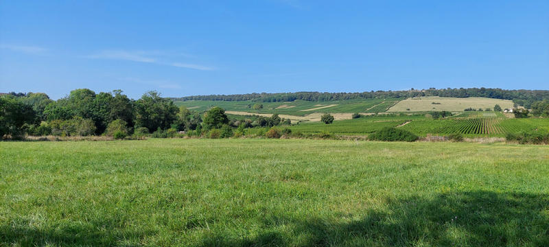 Terrain - 797 m²