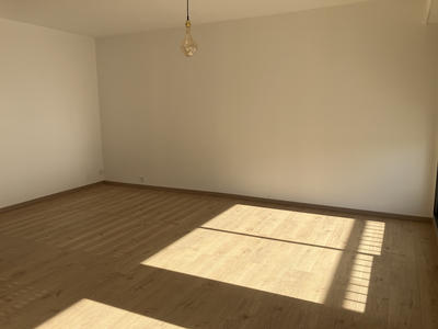 Appartement - 54 m² - 2 pièces