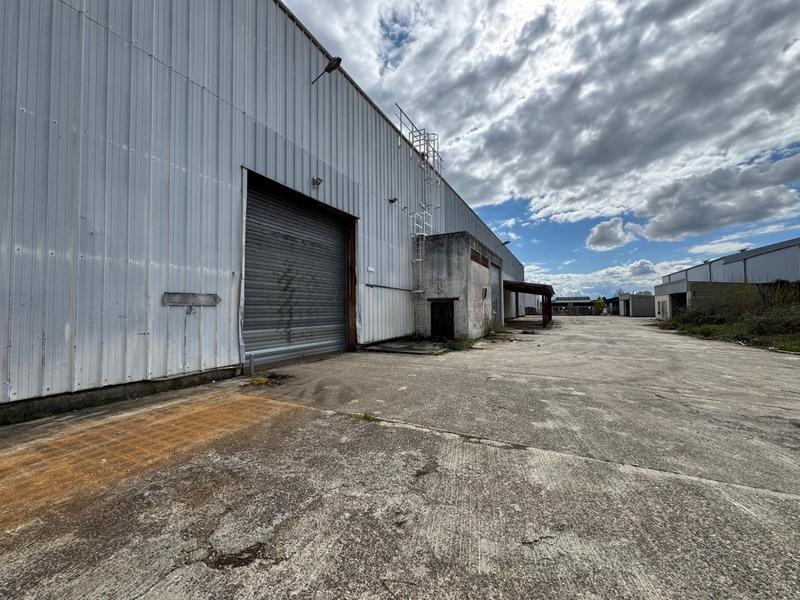Entrepôt - 2 800 m² - 9 pièces