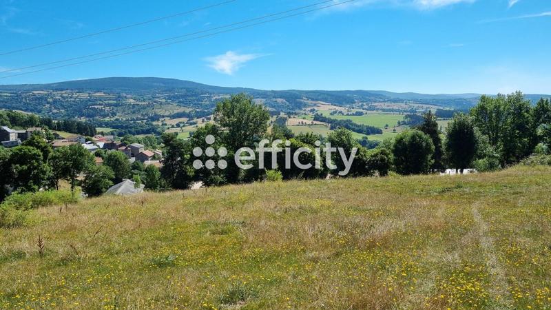 Terrain - 5 185 m²