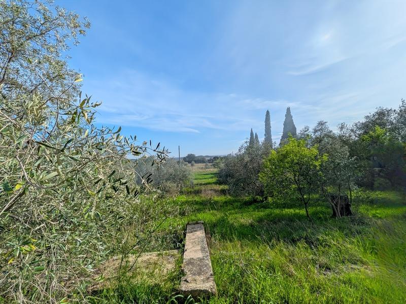 Terrain constructible - 3 730 m²