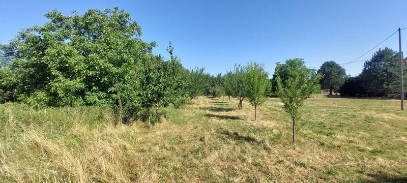 Terrain - 860 m²