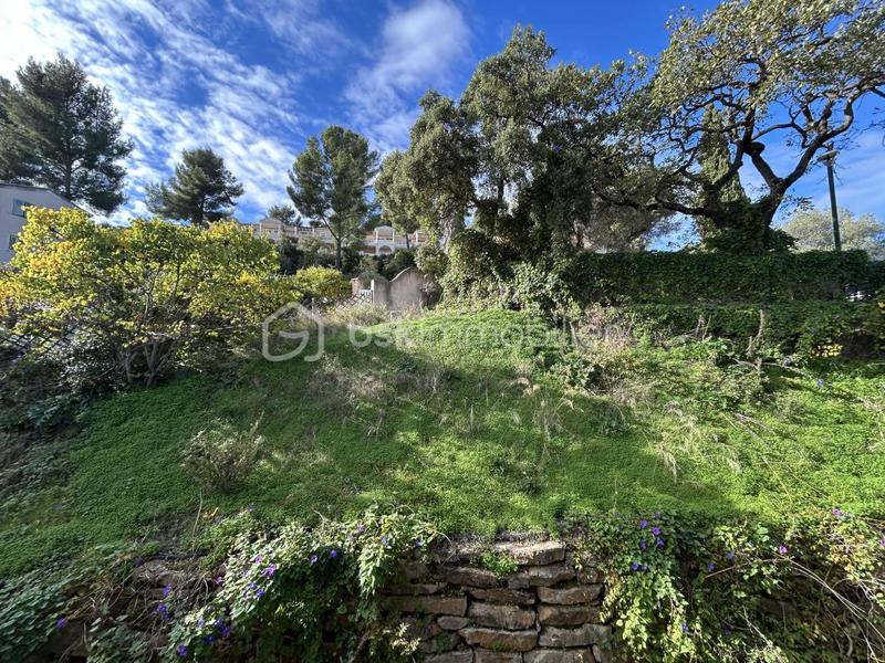 Studio - 23 m² - 1 pièce