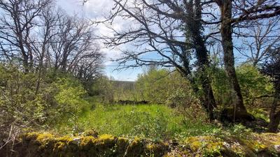 Maison - 326 m² - 15 pièces