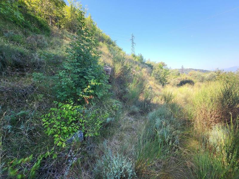 Terrain - 16 415 m²