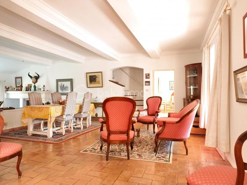 Mas - 382 m² - 13 pièces