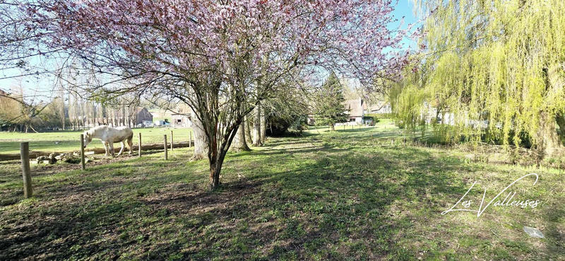 Maison - 190 m² - 5 pièces